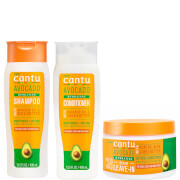 Cantu Avocado Bundle