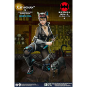Star Ace My Favourite Movie 1/6 Scale Collectible Action Figure - Catwoman (Deluxe Ver.)