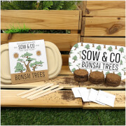 Sow and Co Grow Kit - Bonsai