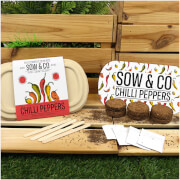 Sow and Co Grow Kit - Chilli