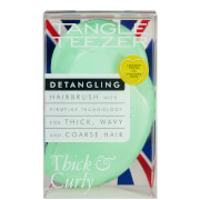 Tangle Teezer Thick and Curly Detangling Hairbrush - Pixie Green Fondant