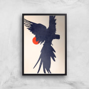 Borris Photography Parrot Giclee Art Print