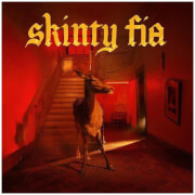 Fontaines D.C. - Skinty Fia (Deluxe Edition) Vinyl 2LP