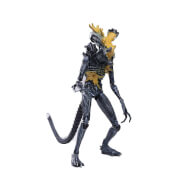 Hiya Toys Aliens Headshot Alien Warrior PX 1/18 Scale Action Figure