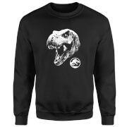 Jurassic Park T Rex Sweatshirt - Black