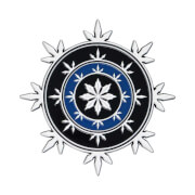 Fanattik Dungeons & Dragons Neverwinter Collectible Medallion