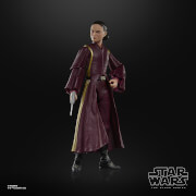 Hasbro Star Wars The Black Series Padmé Amidala Action Figure (6”)