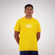 MENS FUNDAMENTALS RADIAL T-SHIRT YELLOW