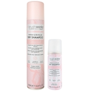 brushworks Dry Shampoo Bundle