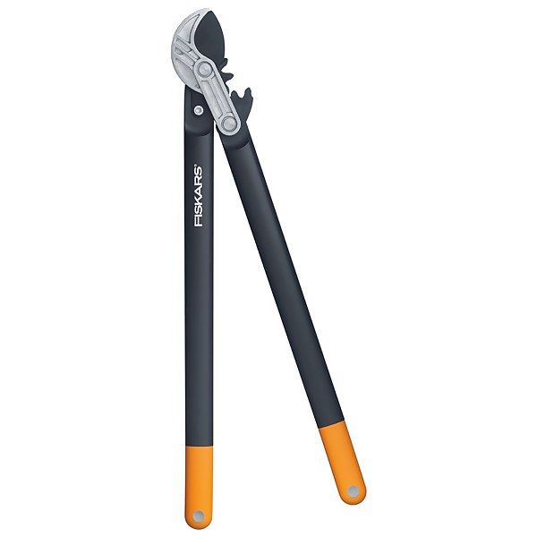 Homebase cheap tree loppers