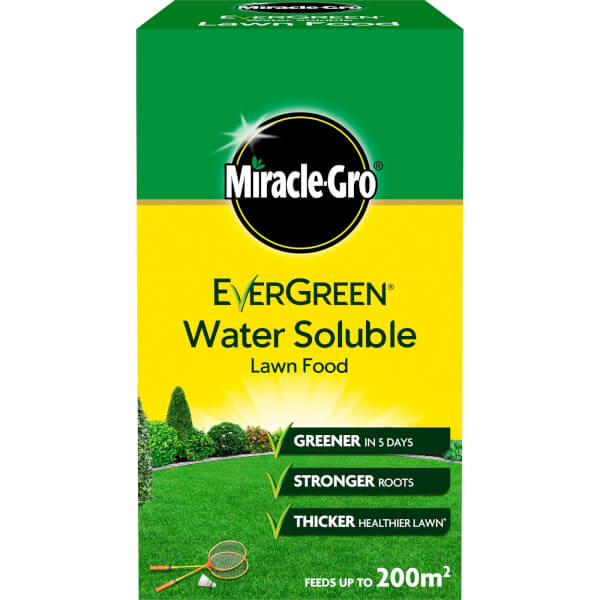 Homebase grass store seed