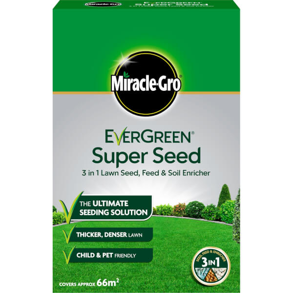 Homebase grass store seed