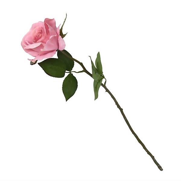 Single pink store rose