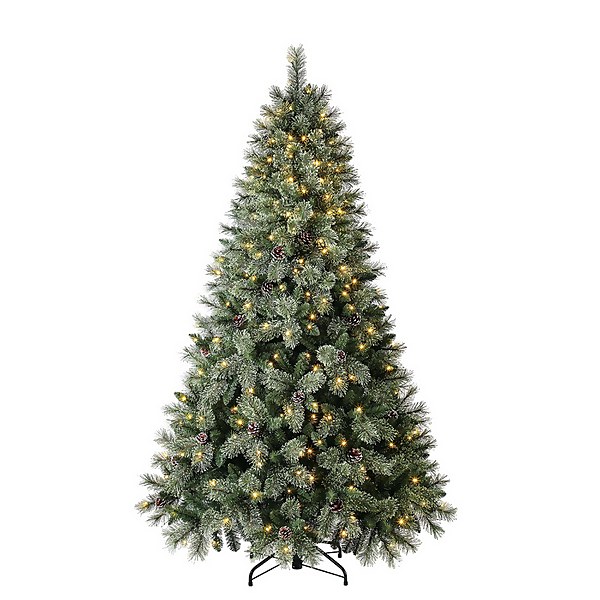 Christmas trees at hot sale homebase