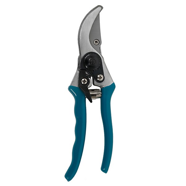 Secateurs homebase shop