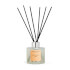 Clear Collection Orange & Oud Reed Diffuser