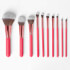 Bombshell Beauty - 10 Piece Brush Set