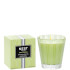 NEST New York Lime Zest and Matcha Classic Candle 230g