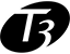 T3 T3