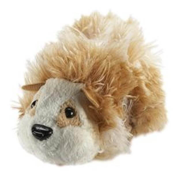 Zhu store zhu puppy