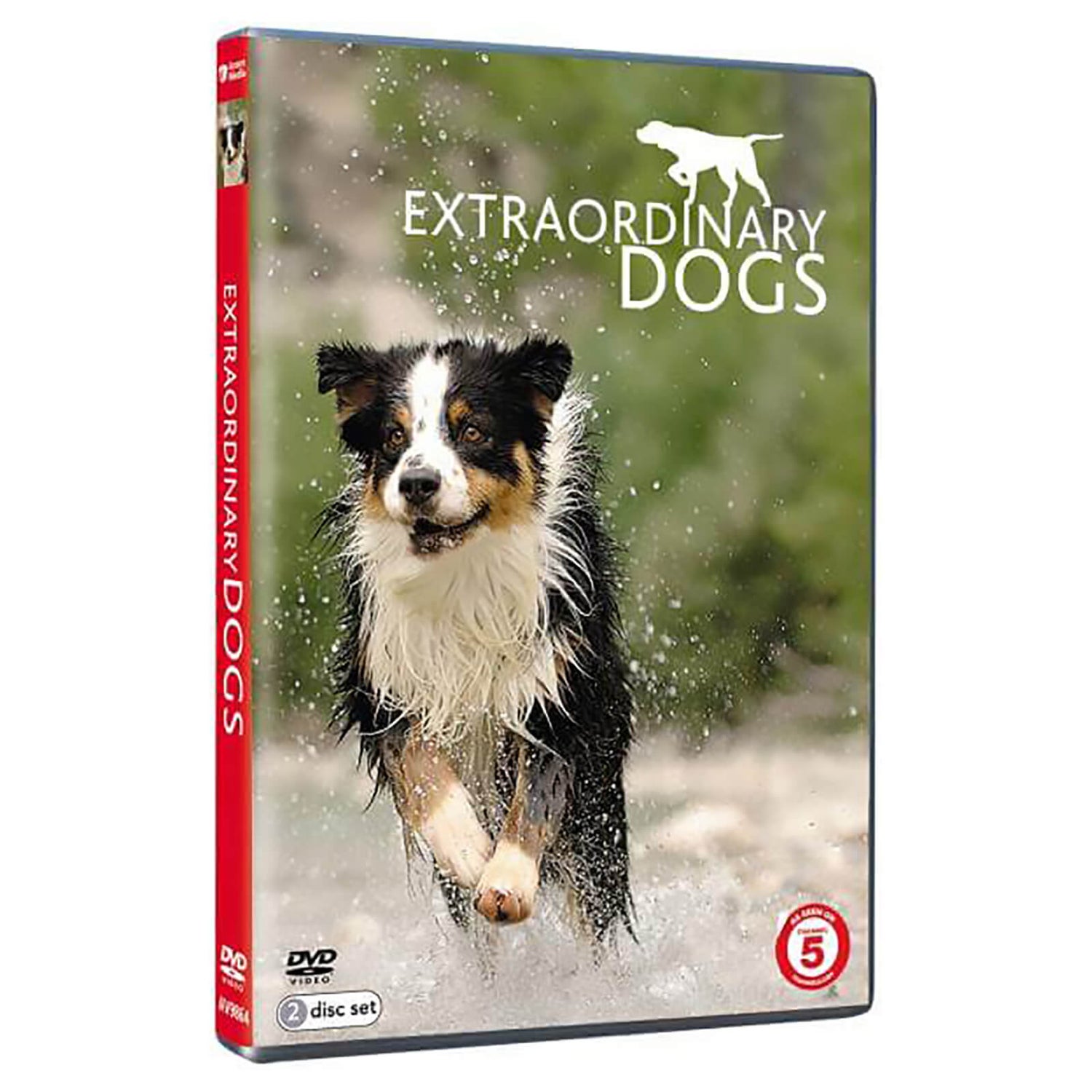 Extraordinary Dogs