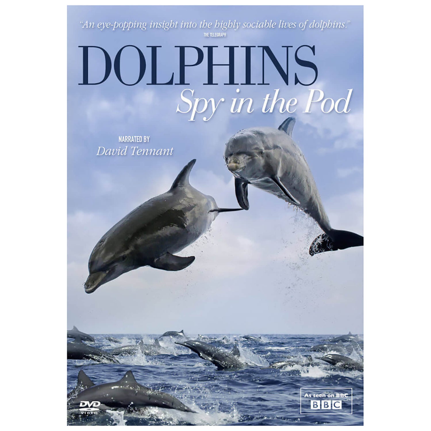 Dolphins Spy in the Pod