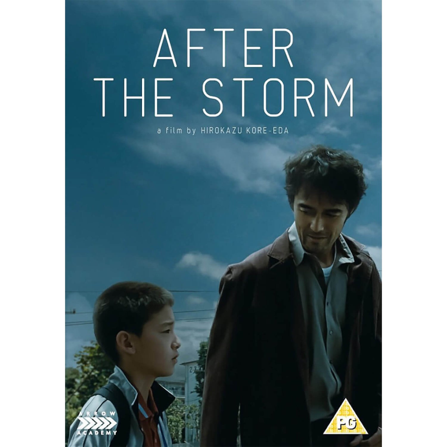 After the Storm DVD