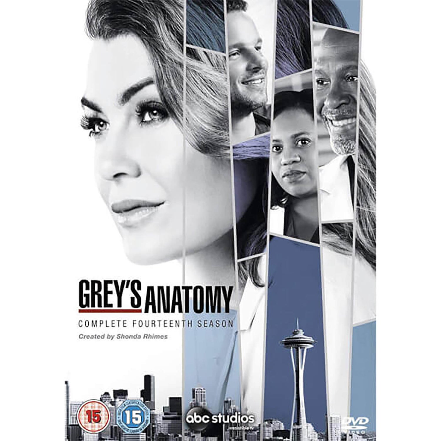 Grey's Anatomy Seizoen 14