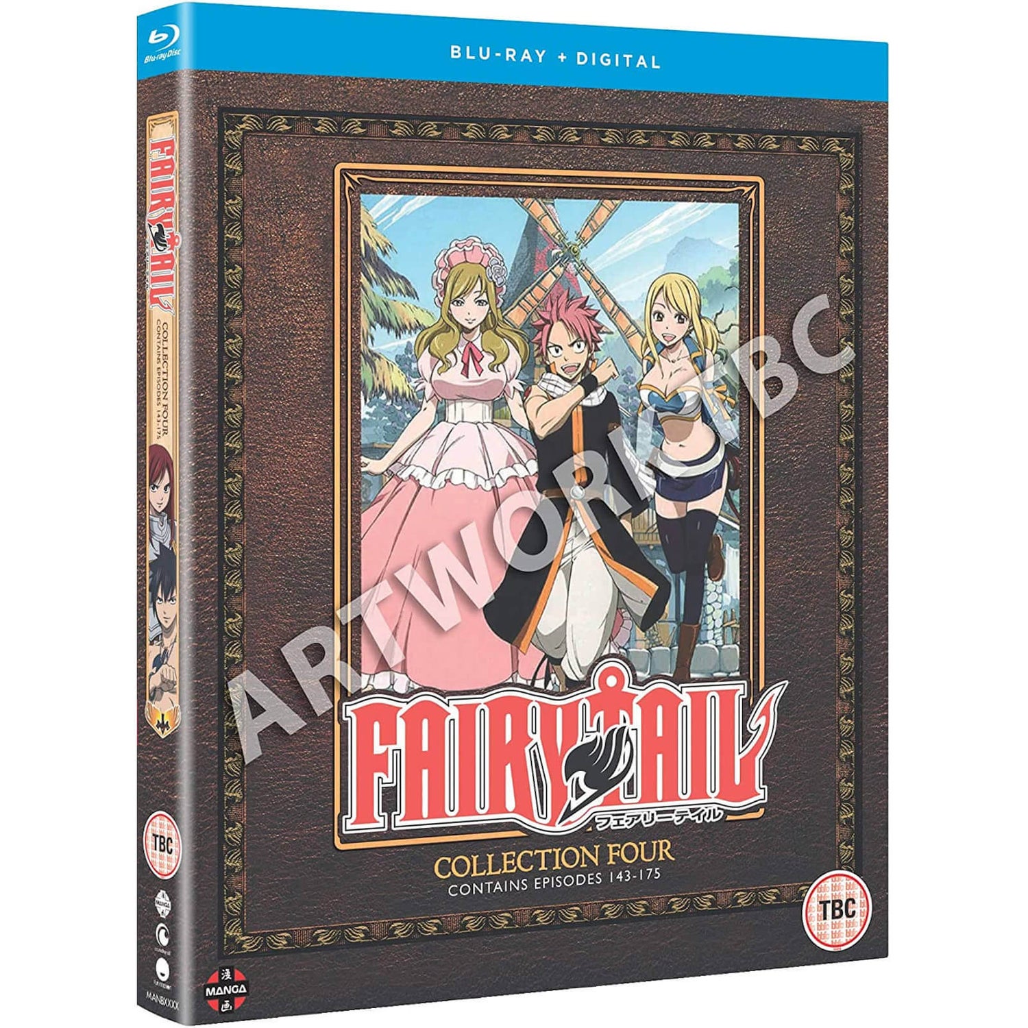 Fairy Tail La Collection Saison 4 (Épisodes 73-96)
