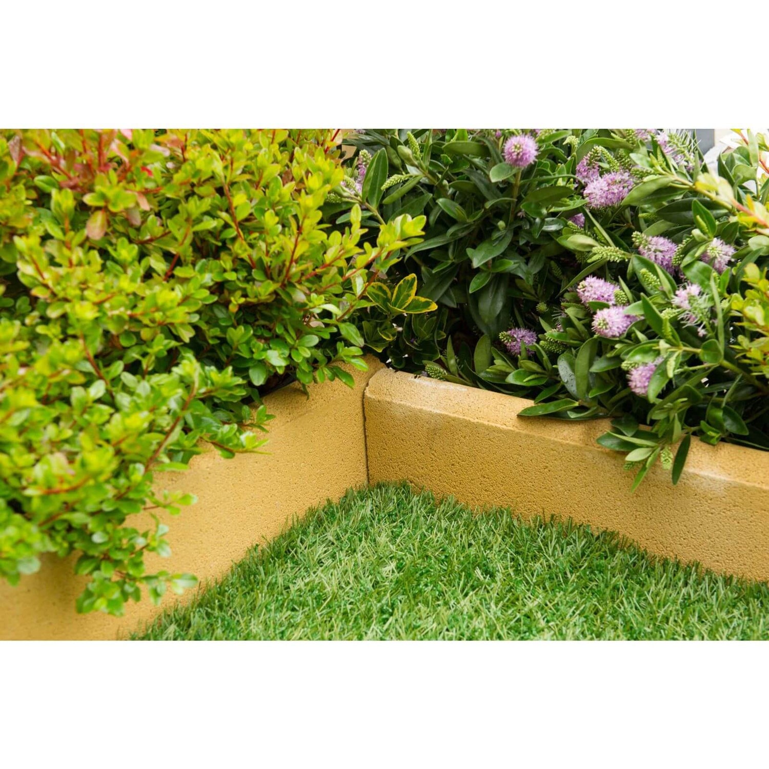 Homebase online garden edging