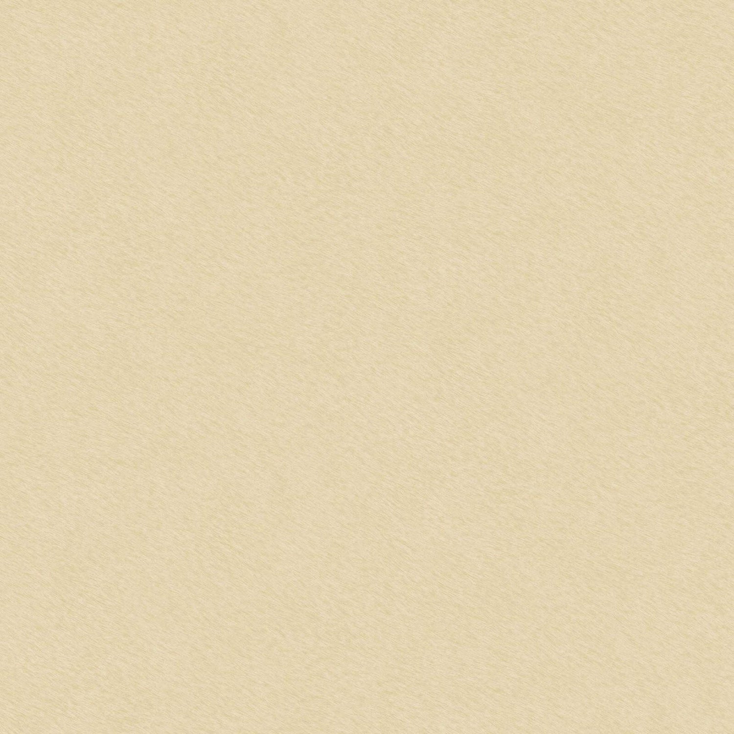 Cream Color Wallpapers  Top Free Cream Color Backgrounds  WallpaperAccess
