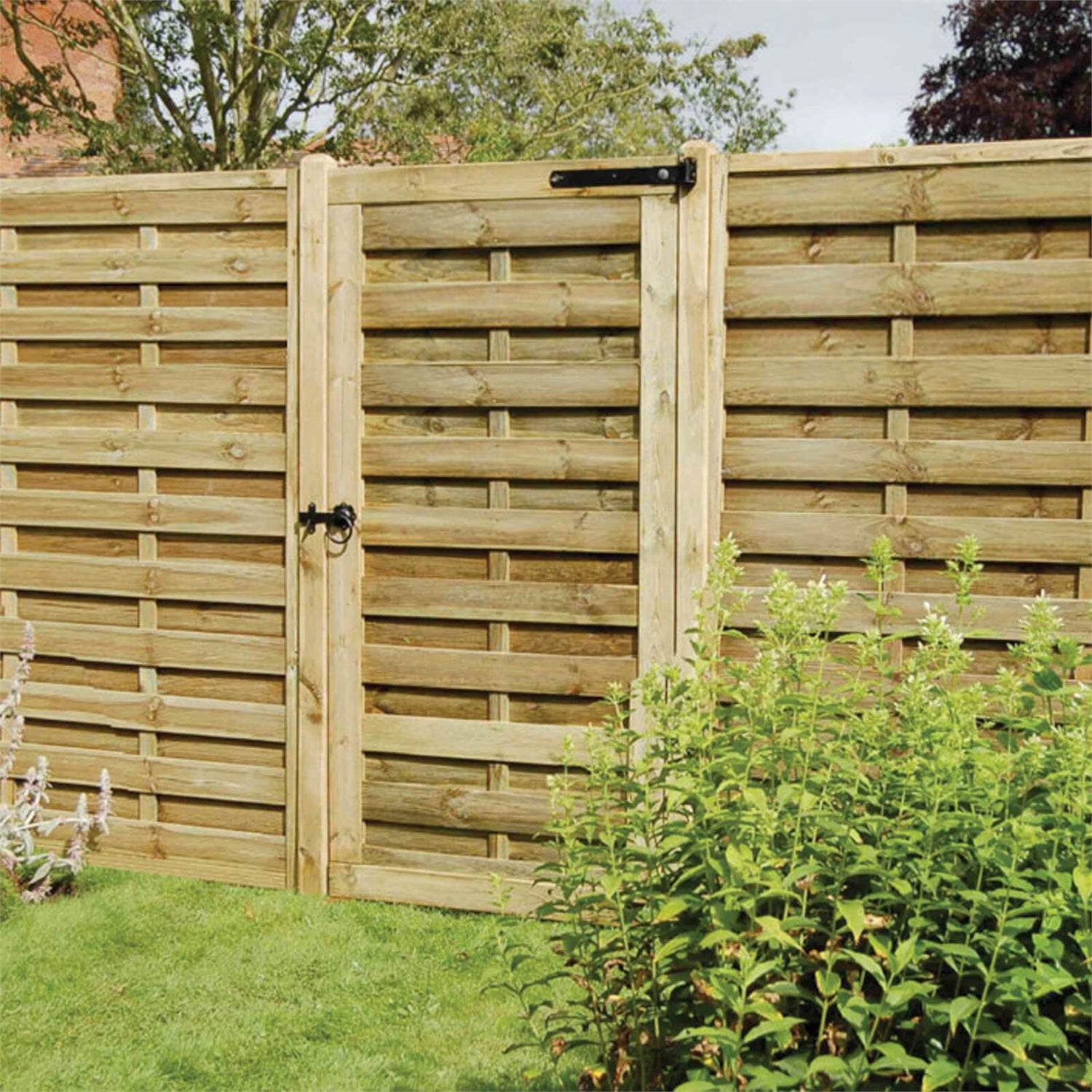 Europa Plain Gate 6ft