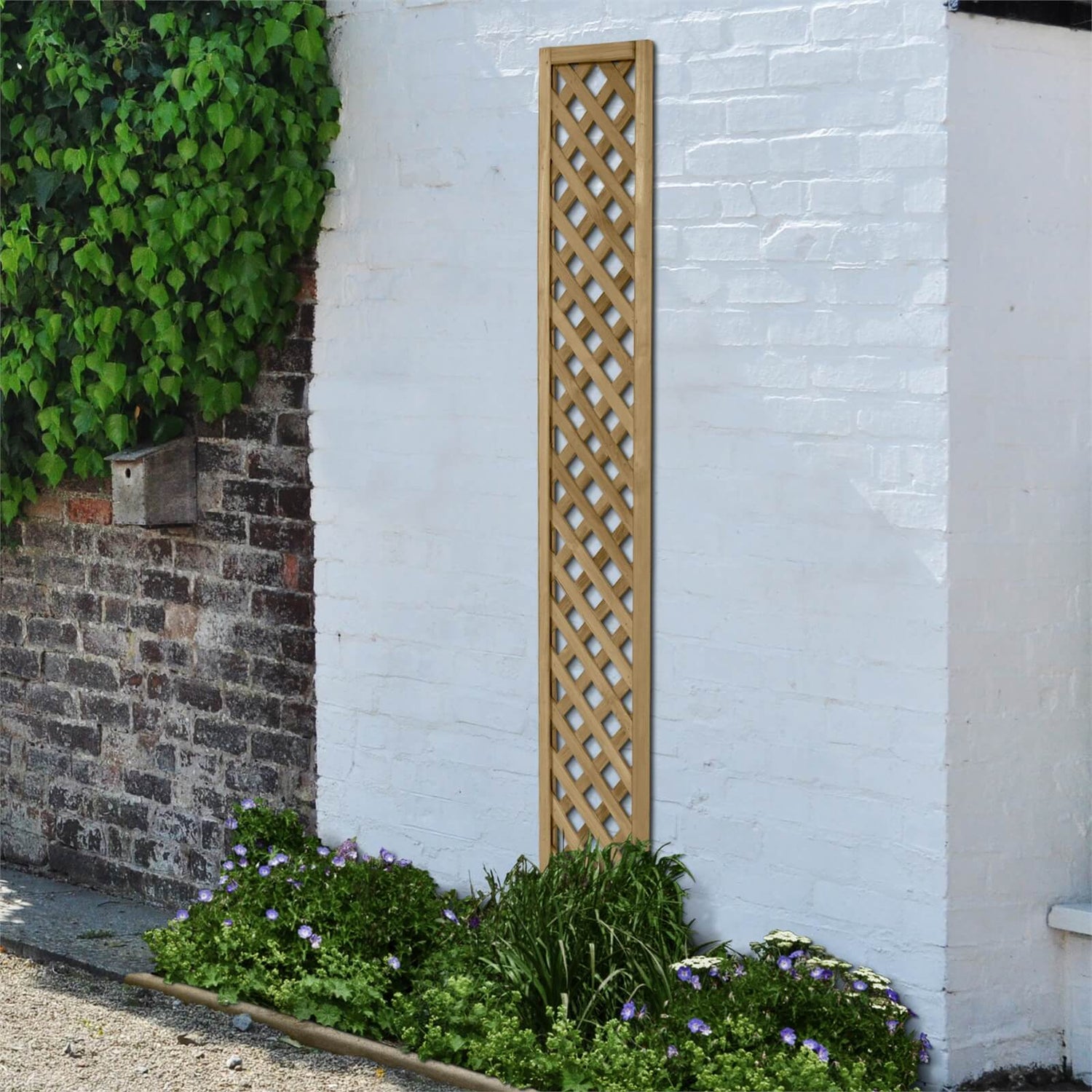 Homebase trellis shop