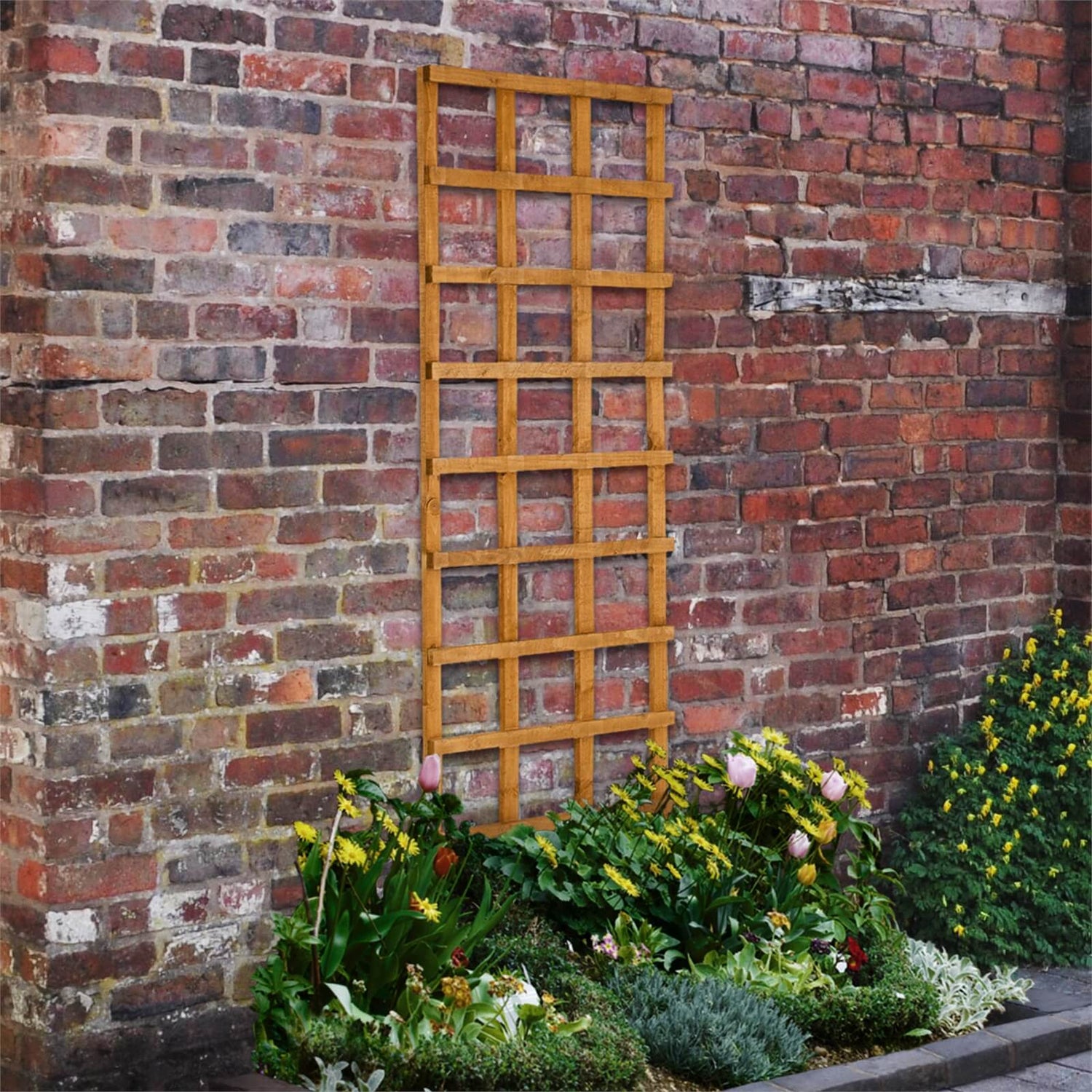 Homebase trellis shop