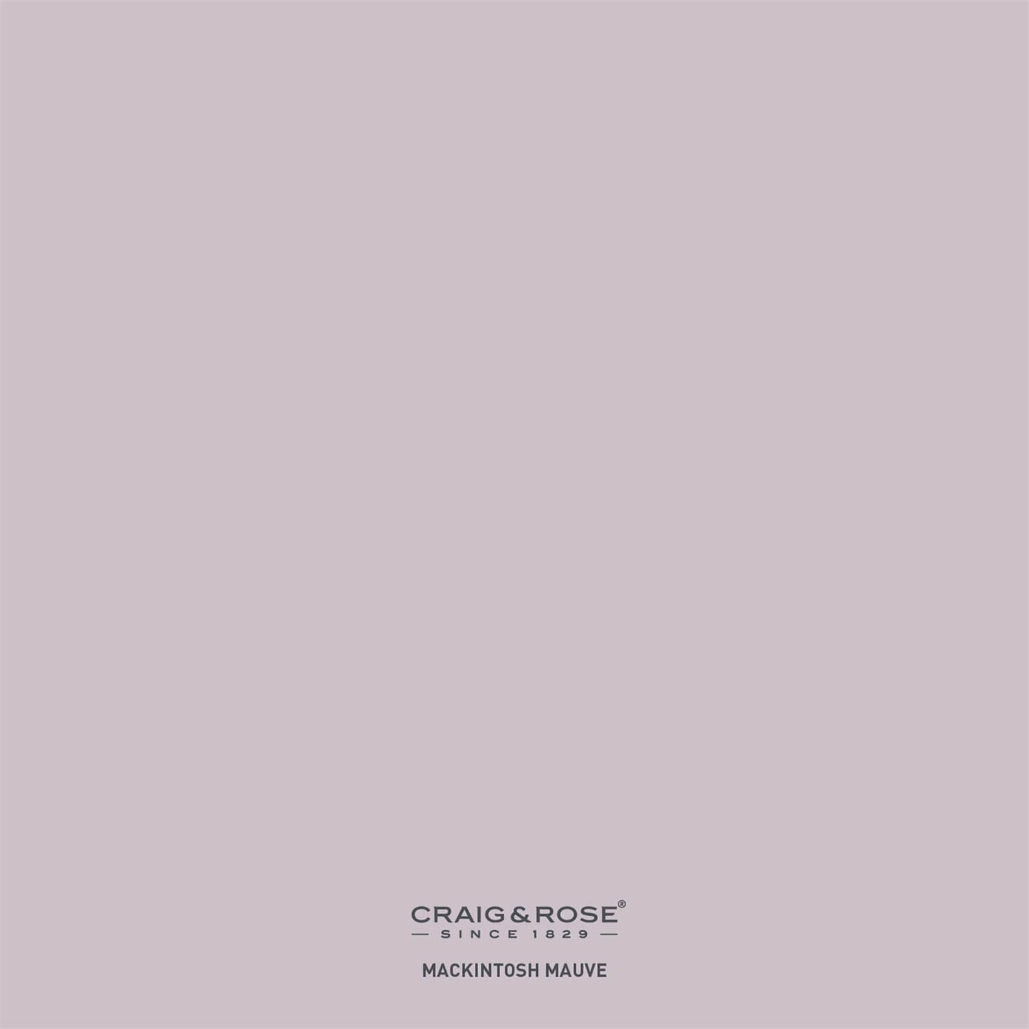 Mauve paint sale