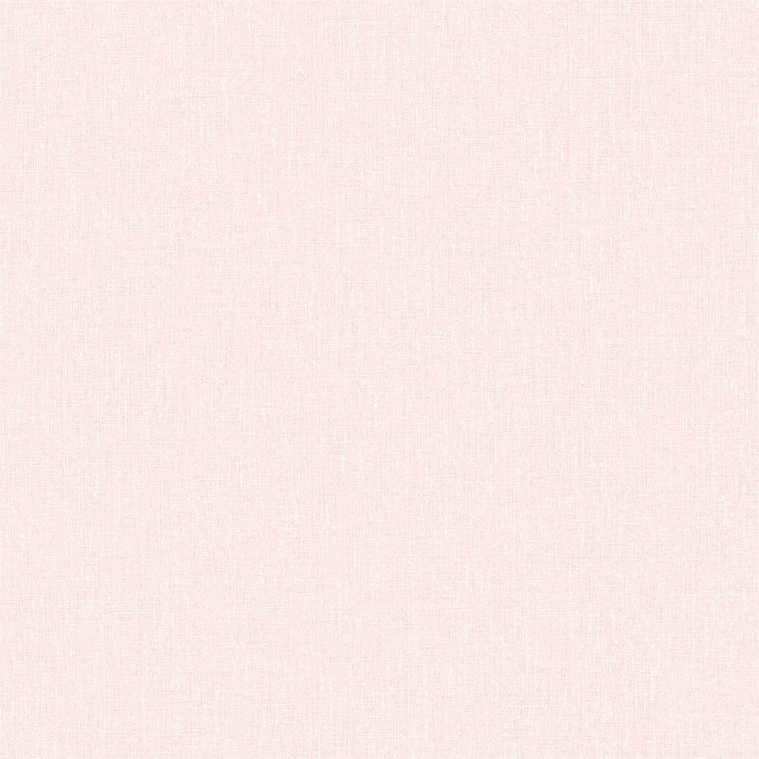 Light Pink Plain Pink HD wallpaper  Pxfuel
