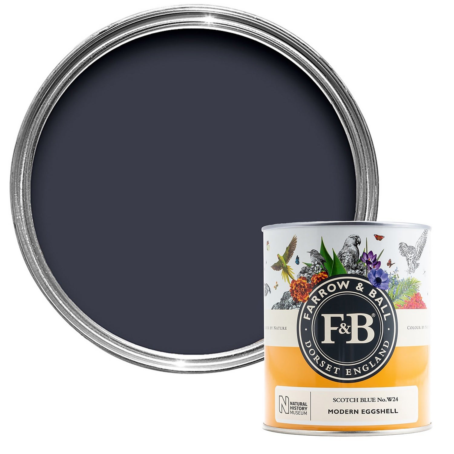 Scotch blue 2025 farrow and ball