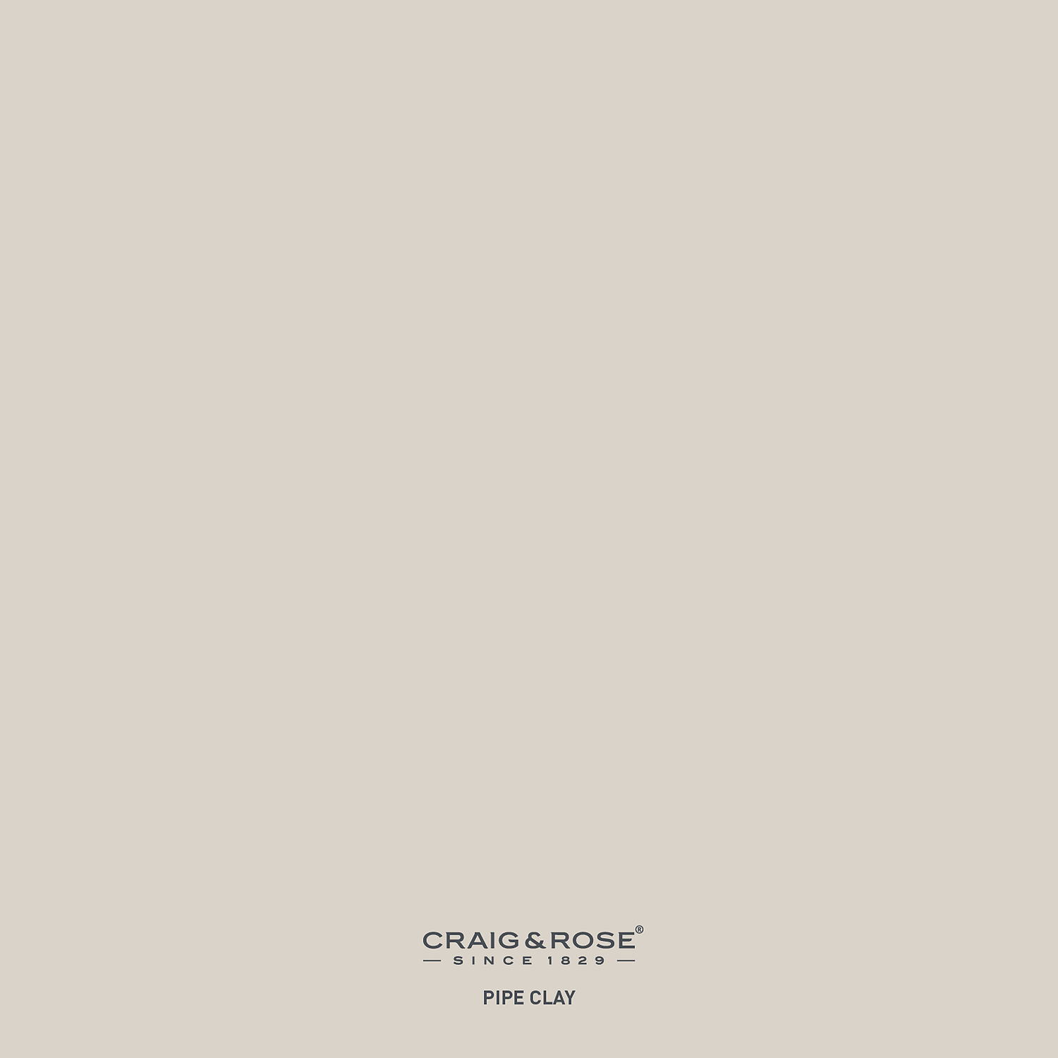 Homebase leather paint online