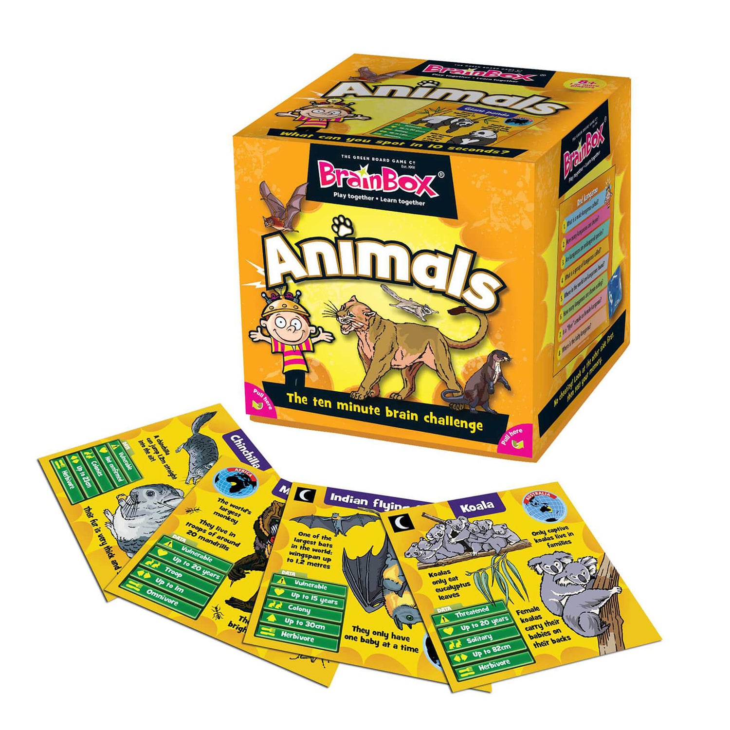 BrainBox Card Game - Animals Edition Refresh (55 Cards)