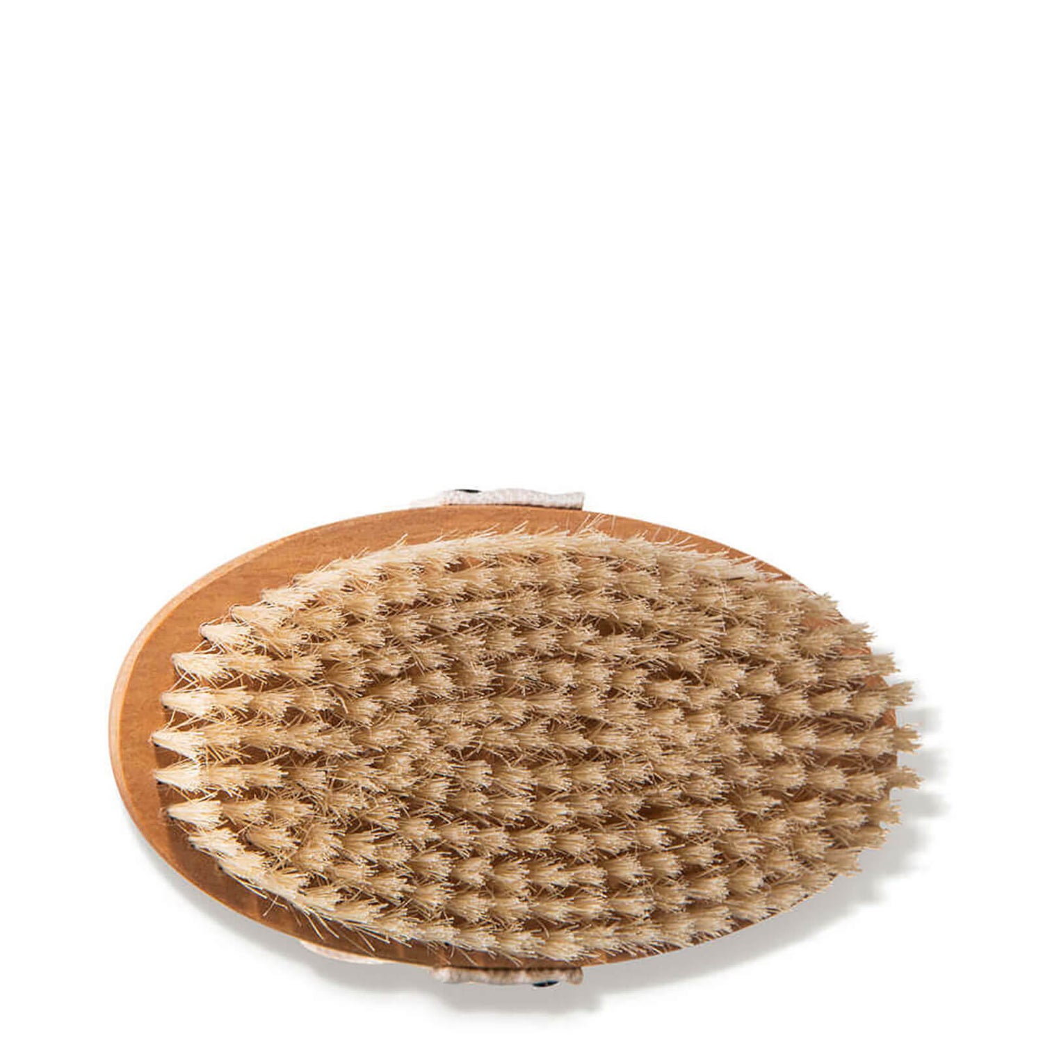 Dermstore Collection Dry Brush Exfoliator With Handle (1 piece)