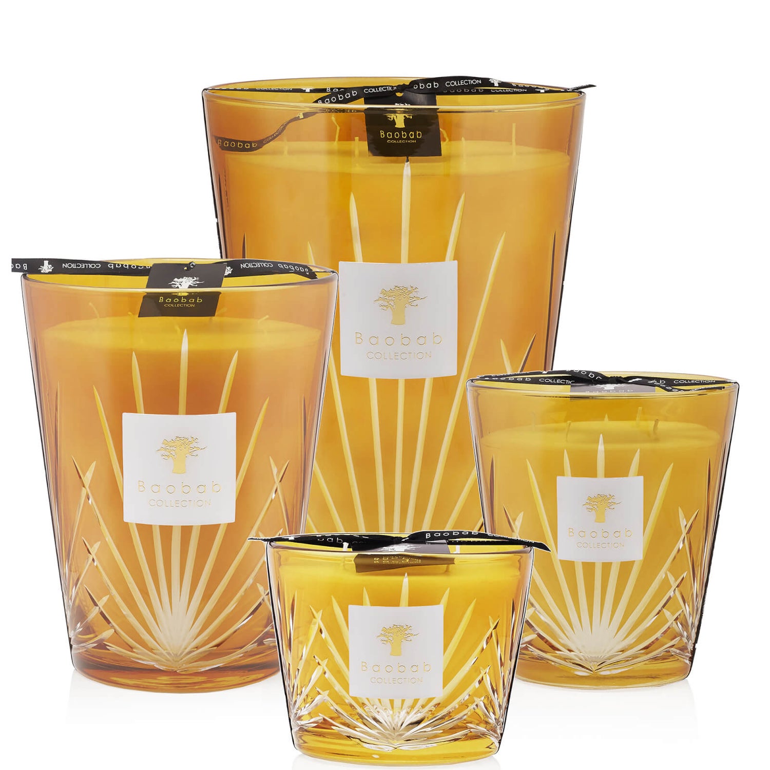 Baobab Collection Palm Palma Candle (Various Sizes)