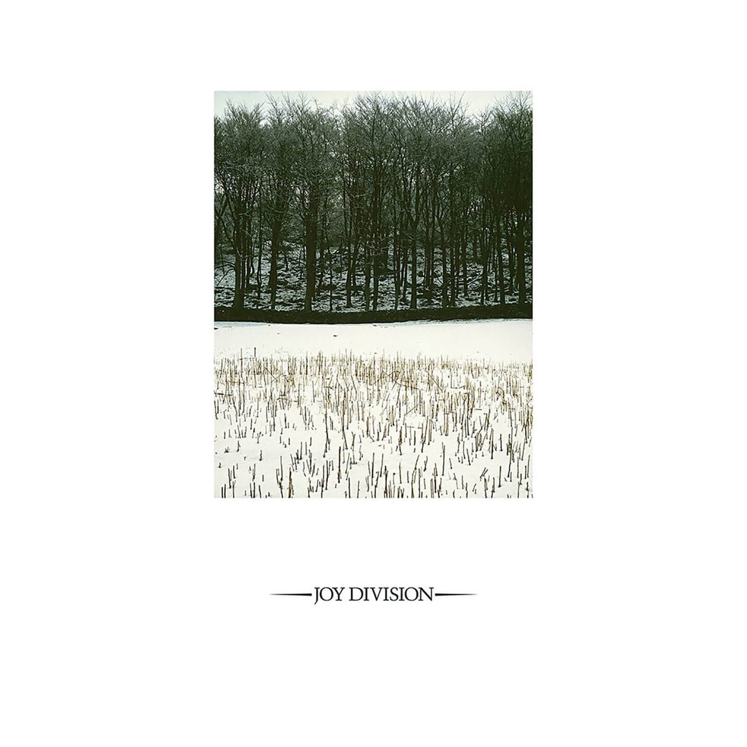 Joy Division - Atmosphere 30 cm