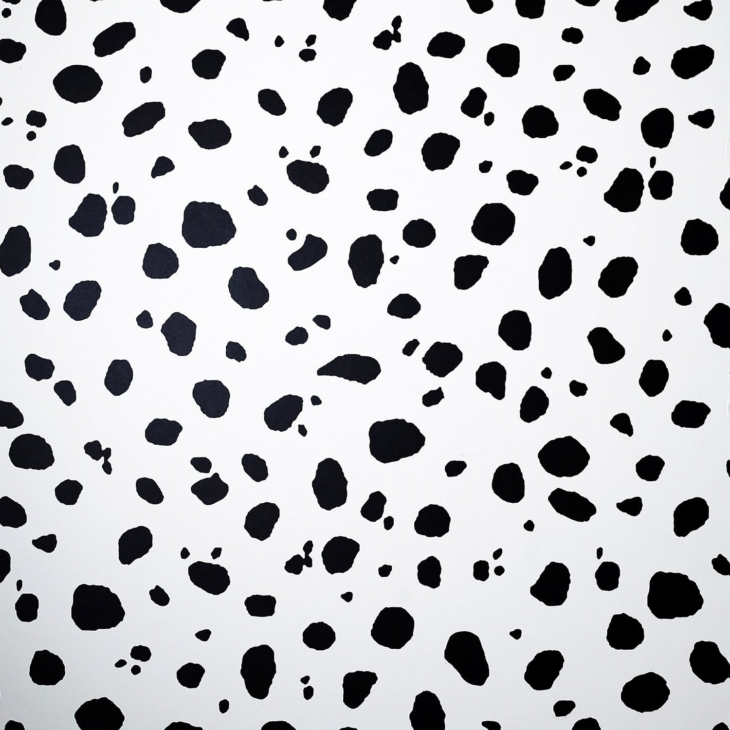 Arthouse Dalmatian Mono Wallpaper | Homebase