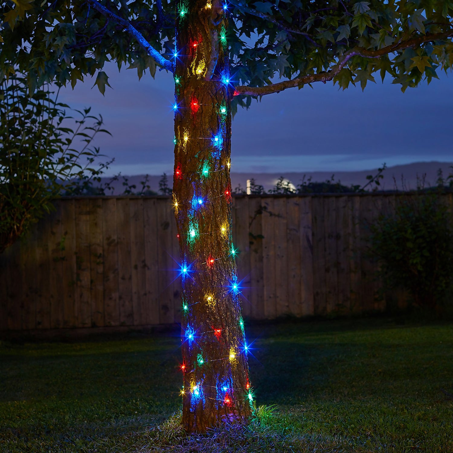 100 Multicoloured Firefly String Lights Homebase