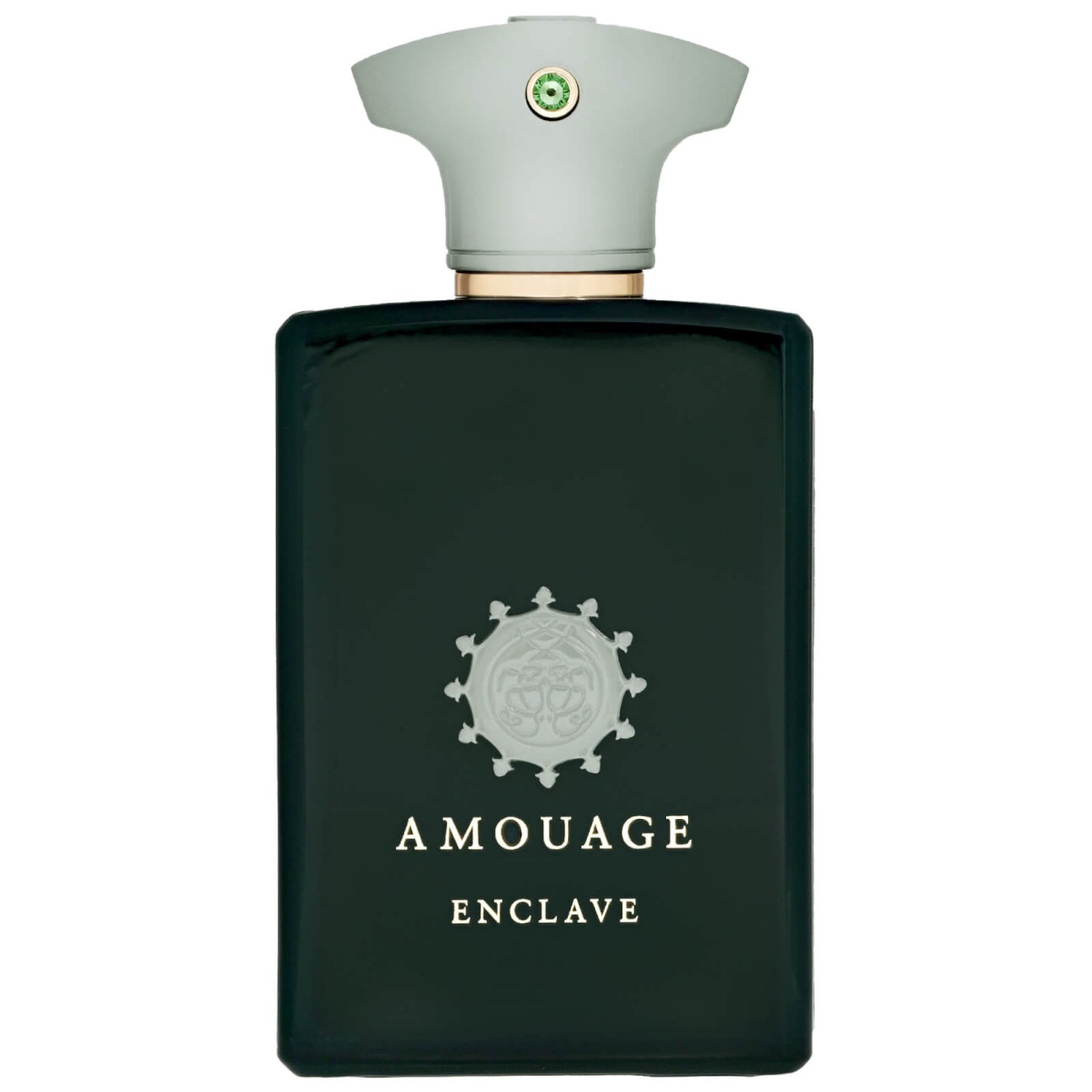 Amouage Enclave Eau de Parfum Spray 100ml - allbeauty