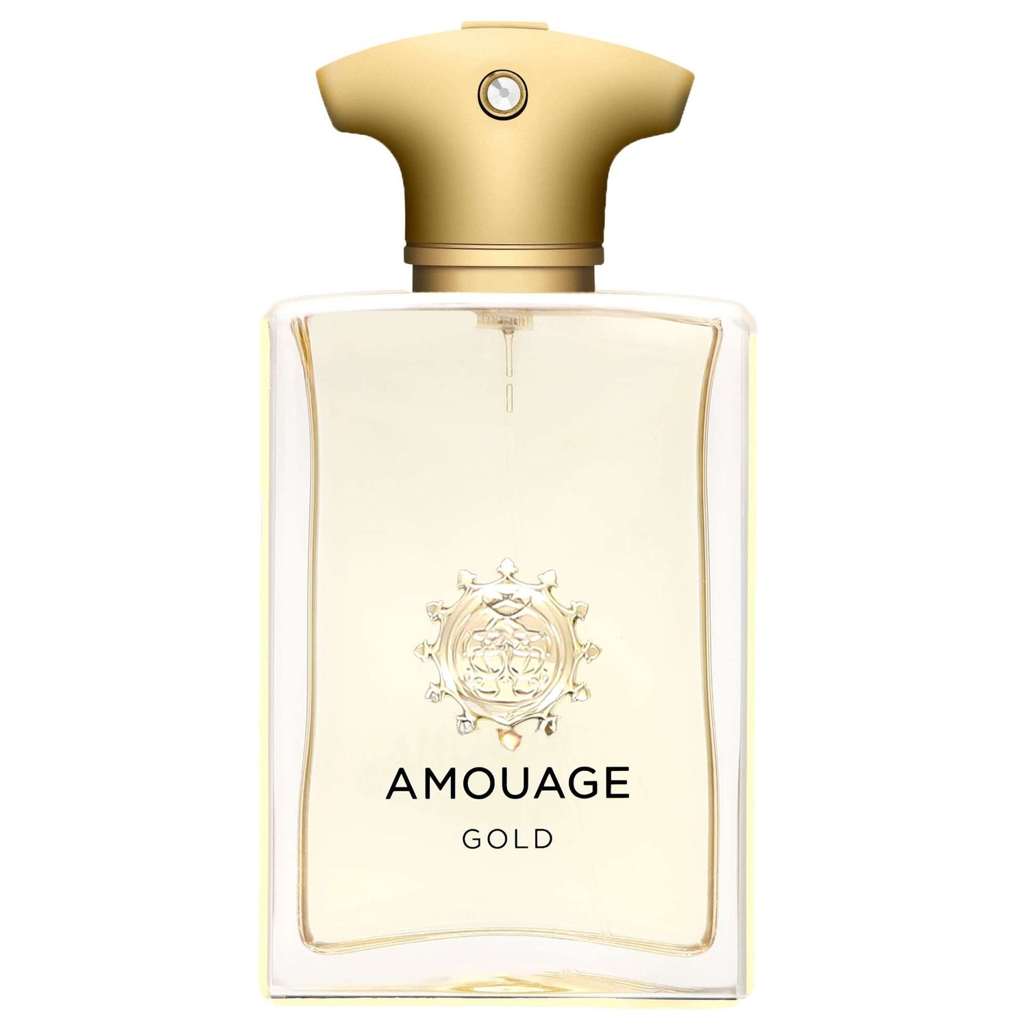 Gold Perfume Amouage Gold Pour Homme Edp 100ml Parfum