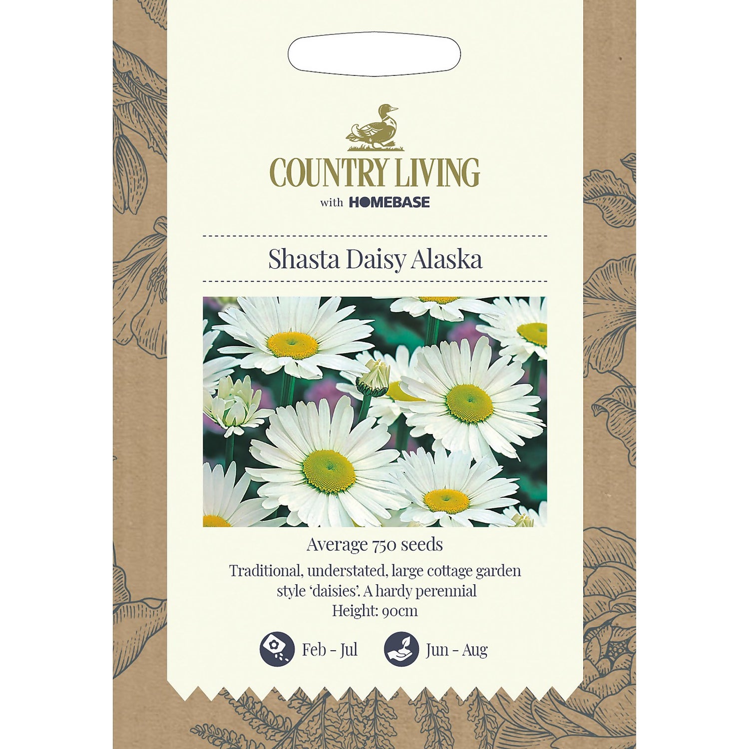 Country Living Shasta Daisy Alaska Seeds