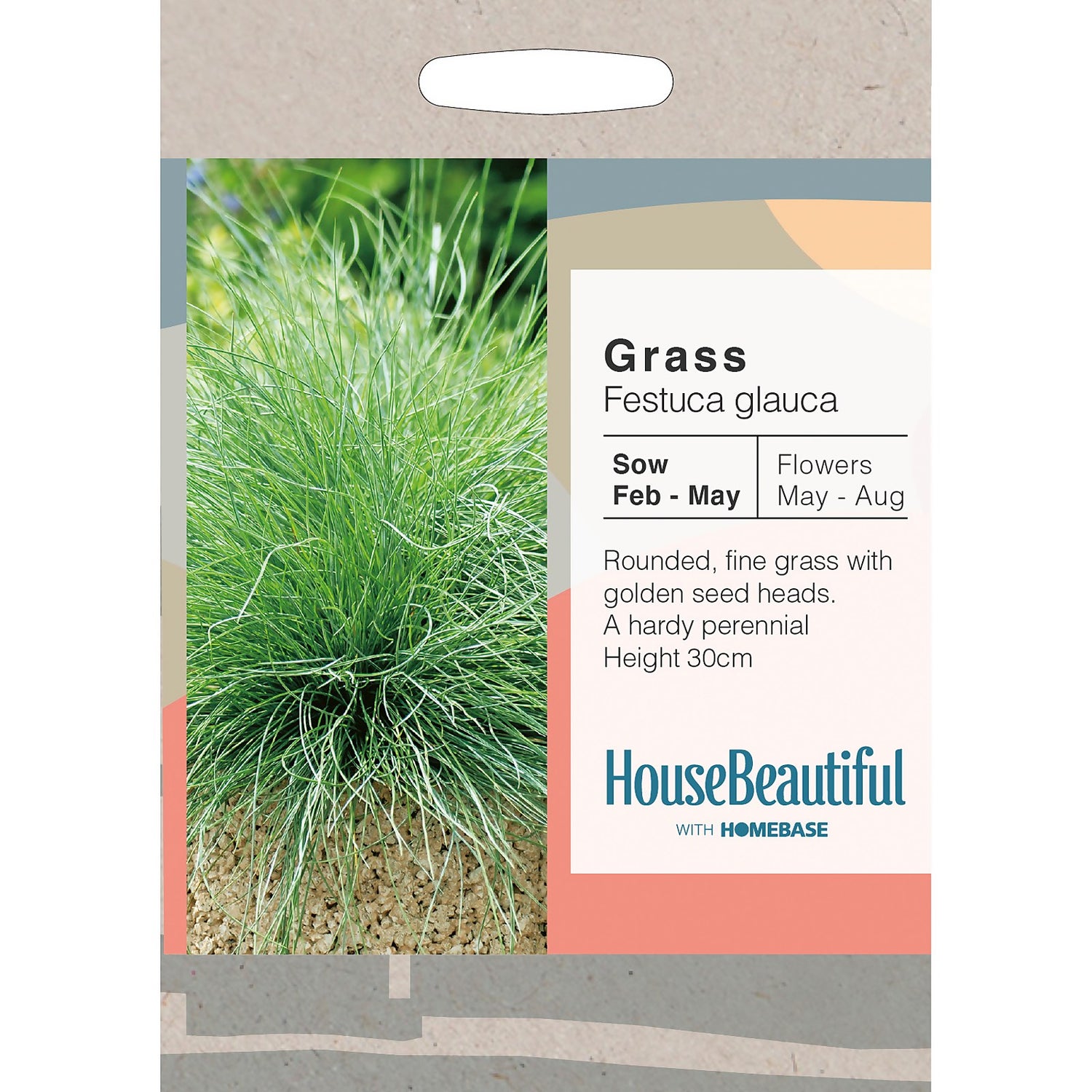 Homebase grass seed sale