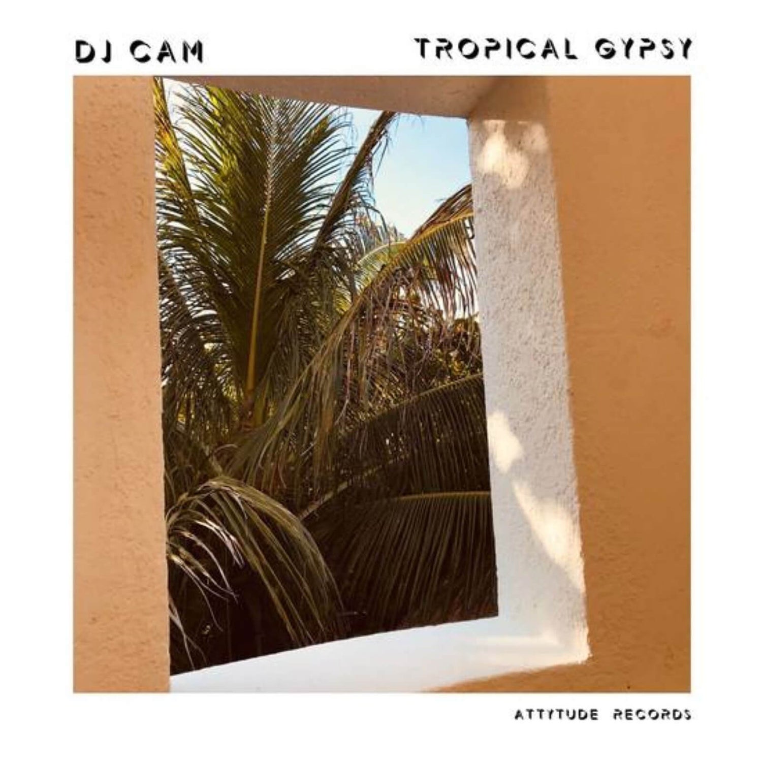 DJ Cam - Tropical Gypsy Vinyl