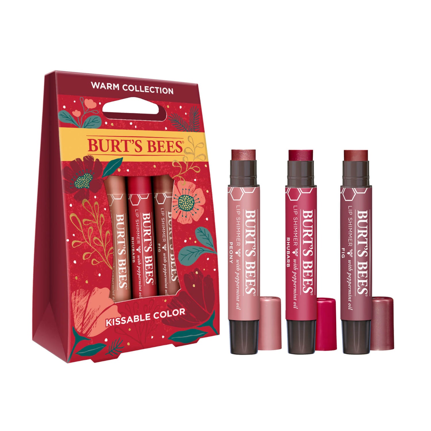 Coffret cadeau de vacances Burt's Bees Kissable Colour